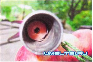 плодосъемник своими руками