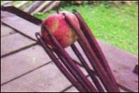 плодосъемник своими руками