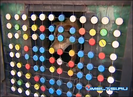 Декор забора