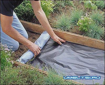 дорожка с плитняка застилка геотекстилем дорожка с плитняка застилка геотекстилем