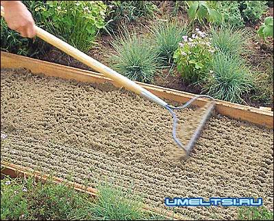 дорожка с плитняка засыпаем песком дорожка с плитняка засыпаем песком