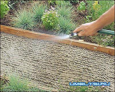 дорожка с плитняка заливаем водой дорожка с плитняка заливаем водой