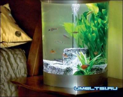 аквариумы в интерьере в спальне