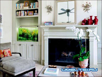 аквариумы в интерьере гостиной