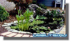 Построение приусадебного пруда Построение приусадебного пруда