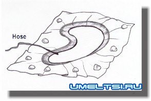 Построение приусадебного пруда Построение приусадебного пруда