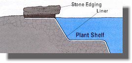 Построение приусадебного пруда Построение приусадебного пруда