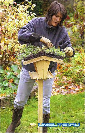 Кормушка для птиц своими руками