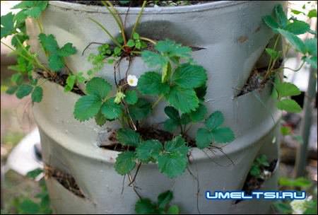 Подборка самоделок из бочки Подборка самоделок из бочки
