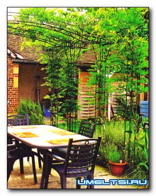 Пергола металлическая