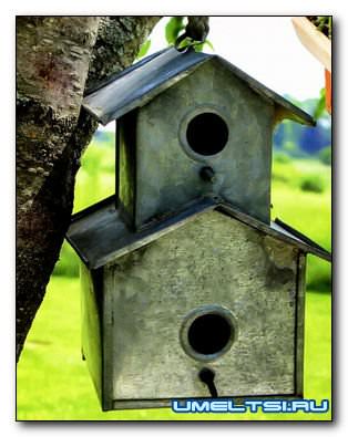 Скворечник своими руками Скворечник своими руками