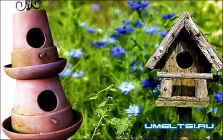 Декоративные скворечники Декоративные скворечники