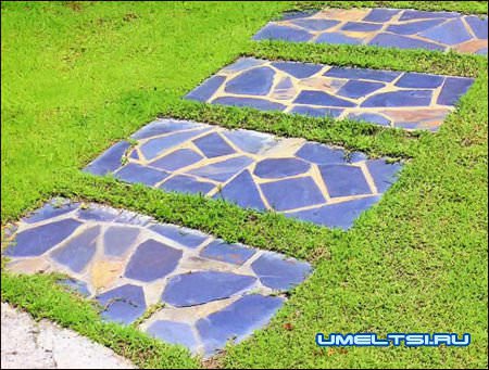 Бетонные кадки своими руками Бетонные кадки своими руками