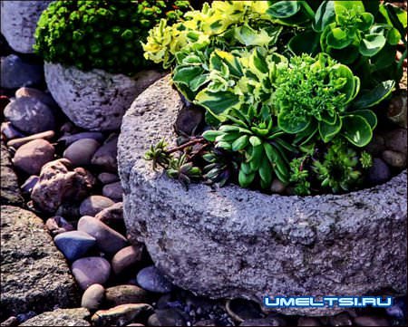 Бетонные кадки своими руками Бетонные кадки своими руками