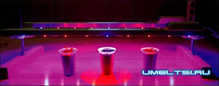 Светодиодная подсветка рассады