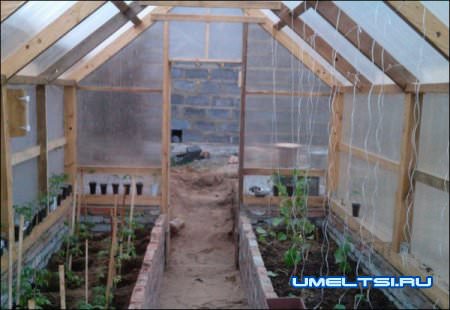 Как построить теплицу своими руками