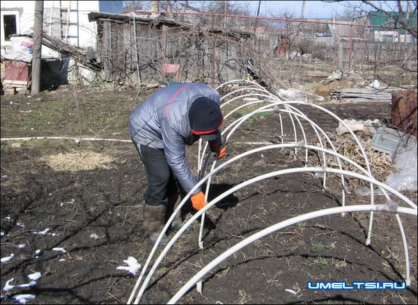 Парник из пластиковых труб