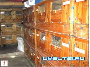 Как сделать клетку для кроликов Как сделать клетку для кроликов