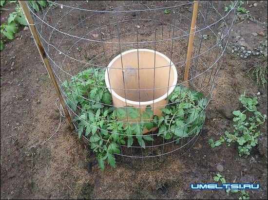 идеи для сада