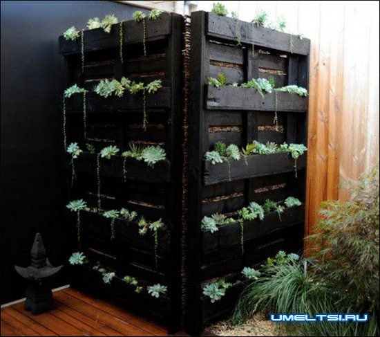 идеи для сада