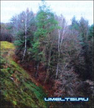 Фрагмент склона (обрыва) на даче.