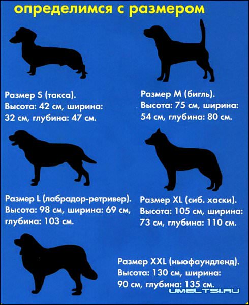 Собачья конура своими руками Собачья конура своими руками