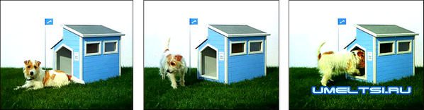 Собачья конура своими руками Собачья конура своими руками