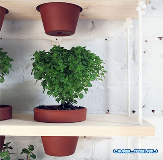 висячий цветочный сад своими руками висячий цветочный сад своими руками