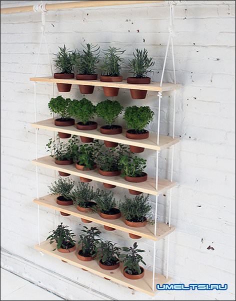 висячий цветочный сад своими руками висячий цветочный сад своими руками
