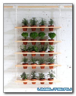 висячий цветочный сад своими руками висячий цветочный сад своими руками