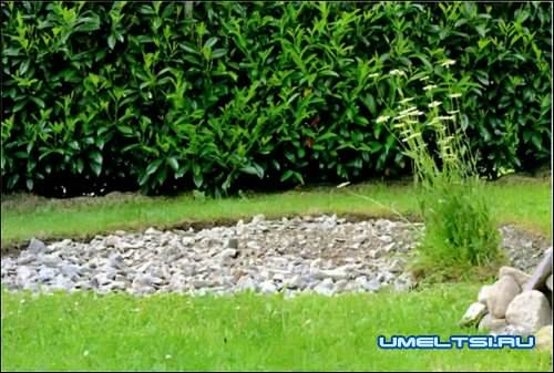 Спиральная грядка своими руками