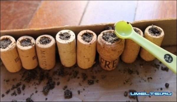 Магниты на холодильник