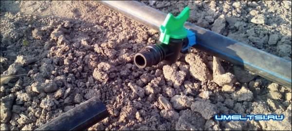 схема капельного полива схема капельного полива