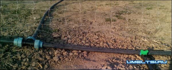 схема капельного полива схема капельного полива