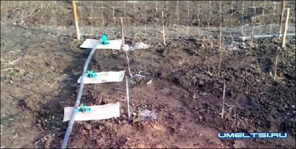 схема капельного полива схема капельного полива