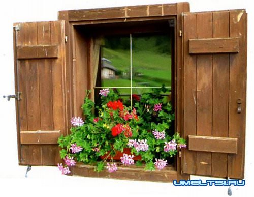 Ставни на окна