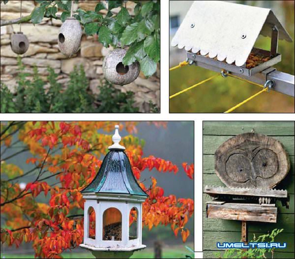 Идеи кормушек Идеи кормушек
