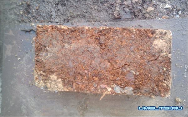 Арболит: технология изготовления