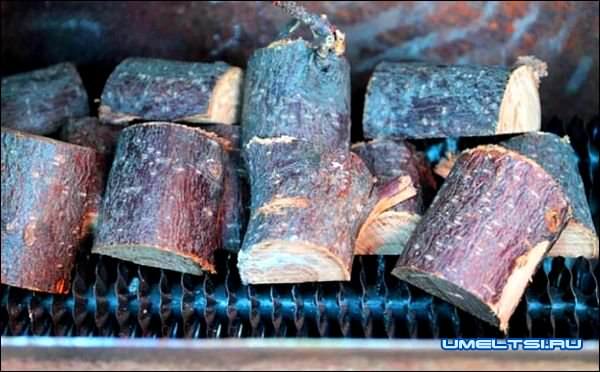 Электрокоптильня своими руками