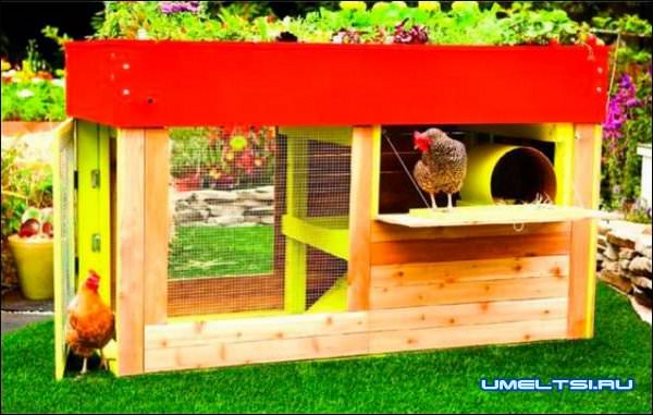 Переносной курятник-фото