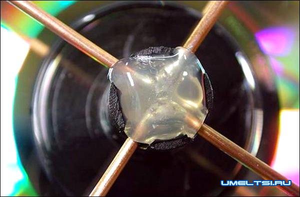 Wi-Fi антенна