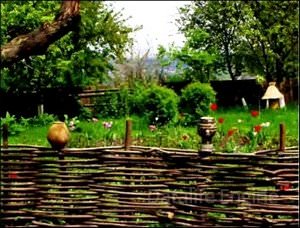 Заборы и изгороди на даче