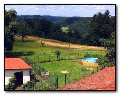 Бассейн из поддонов своими руками