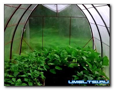 капитальная теплица капитальная теплица