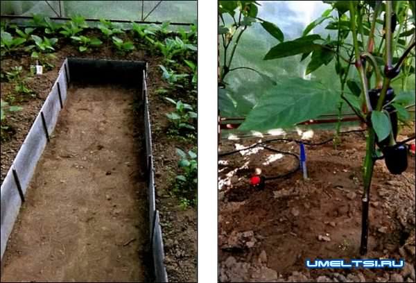 капитальная теплица своими руками капитальная теплица своими руками