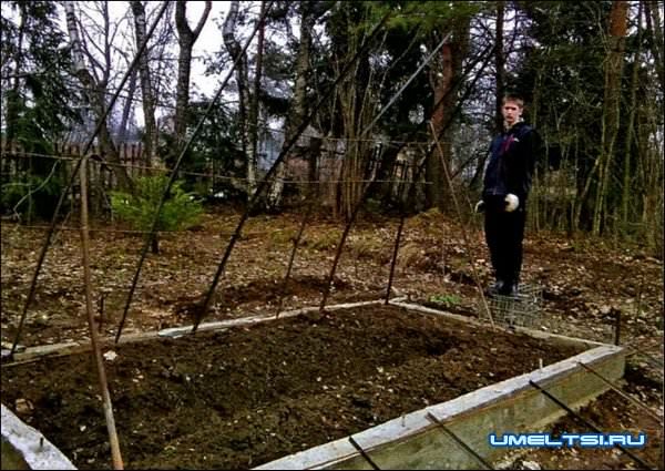 капитальная теплица своими руками капитальная теплица своими руками