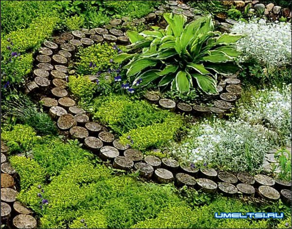 Дорожка из спилов