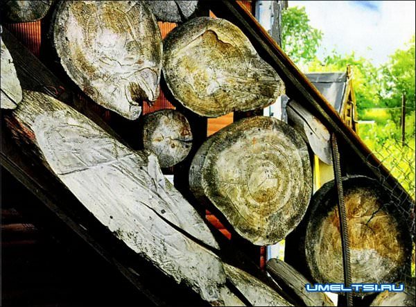 Дорожка из спилов