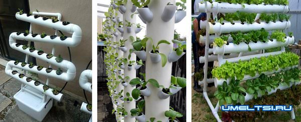 гидропоника