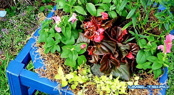 Стул-клумба